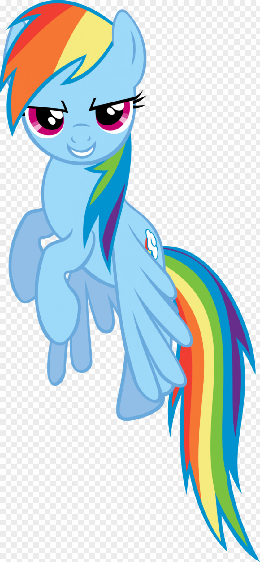 Rainbow Dash Fluttershy Pony PNG
