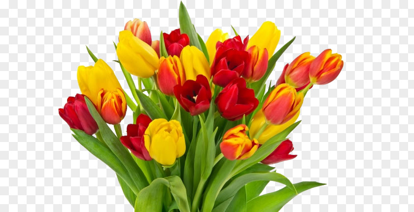 Tulips Photos Tulip Mothers Day Flower Bouquet Childrens Fathers PNG