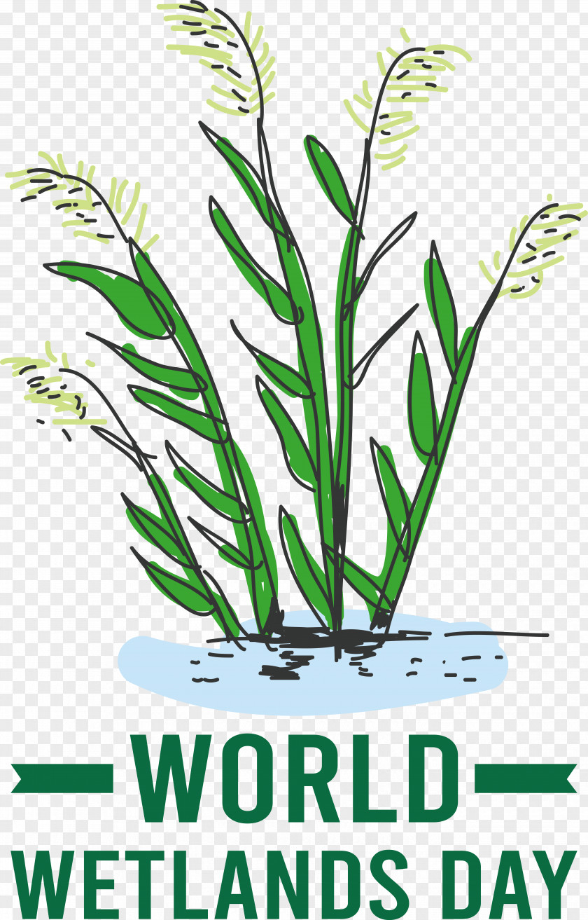 World Wetlands Day PNG