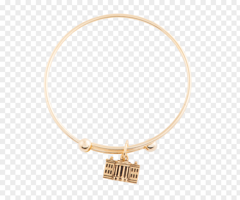 Adjustable Ornament Bangle Bracelet Necklace Body Jewellery PNG