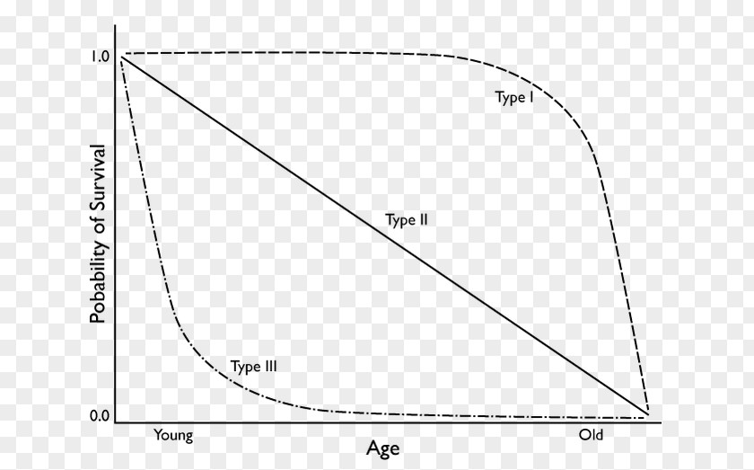 Curve Pattern Survivorship Chart Geometry Statistics PNG