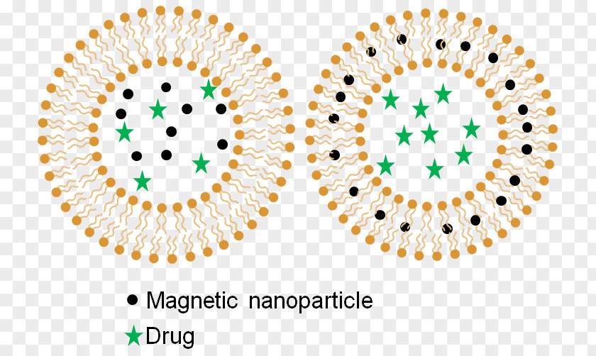 Drug-delivery Drug Delivery Hyperthermie Magnétique Research Hyperthermia Therapy Magnetic Nanoparticles PNG