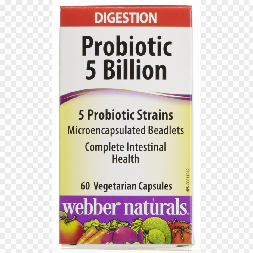 Health Probiotic Dietary Supplement Gut Flora Gastrointestinal Tract PNG