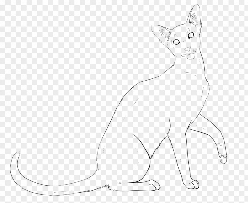 Oriental Shorthair British Javanese Cat Line Art Drawing PNG