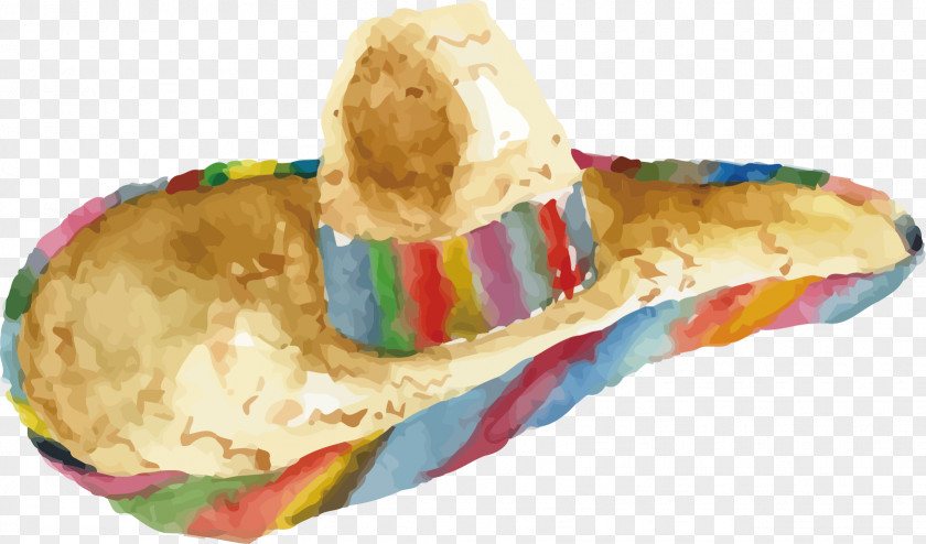Painted Model Vector Food PNG