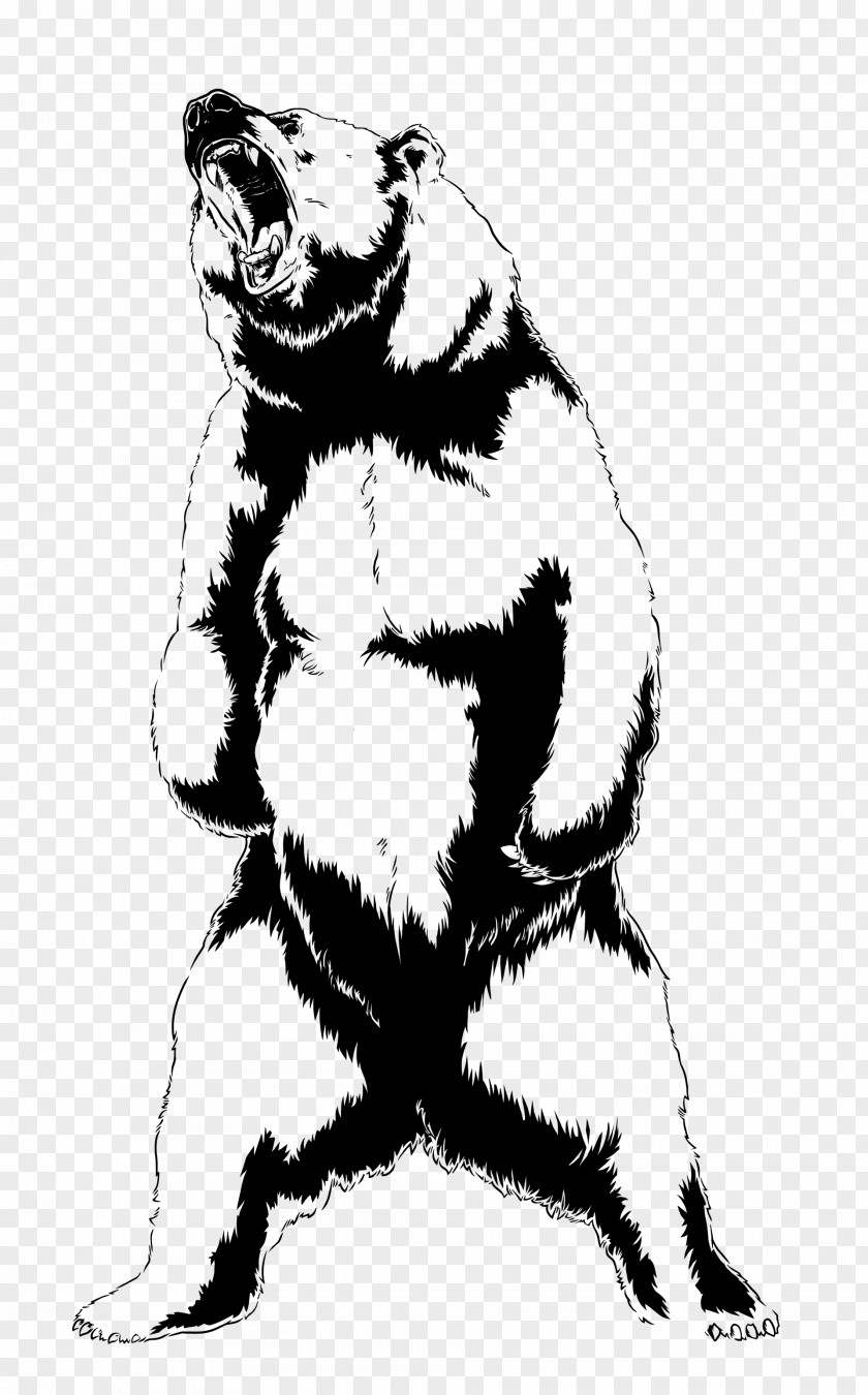 Roar Bear Drawing Art PNG
