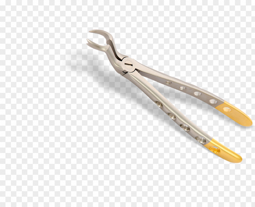 Tools Dental Instruments Surgical Instrument Dentistry Surgery PNG