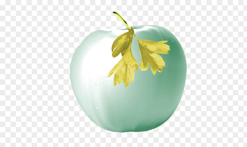 An Apple Download Photography PNG