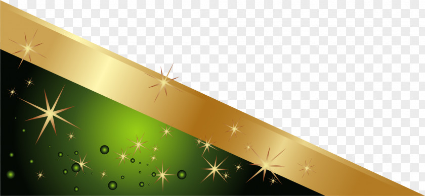 Green Sparkle Label Icon PNG