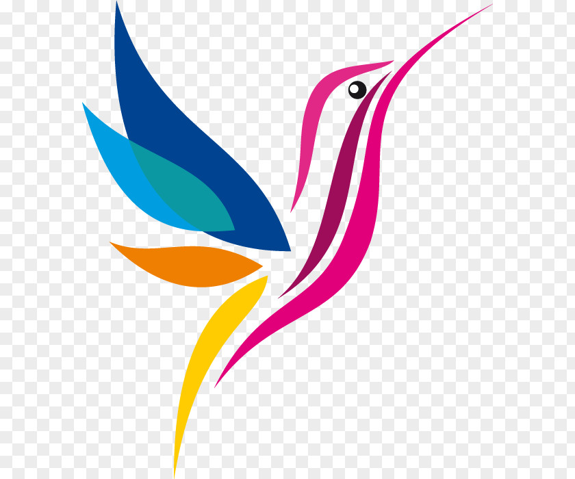 Hummingbird Logo Drawing PNG