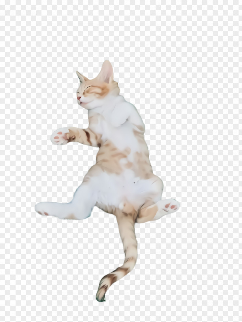 Kick Jumping Cat White Figurine Small To Medium-sized Cats Tail PNG