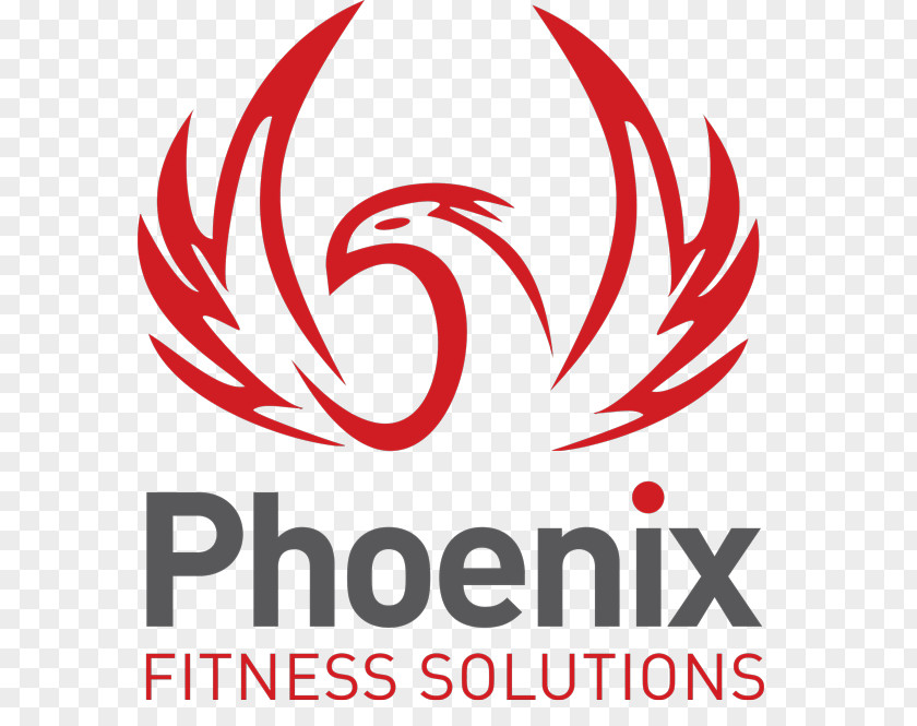 Phoenixfire Solutions Phoenix Elixir Web Framework Ruby On Rails Software PNG