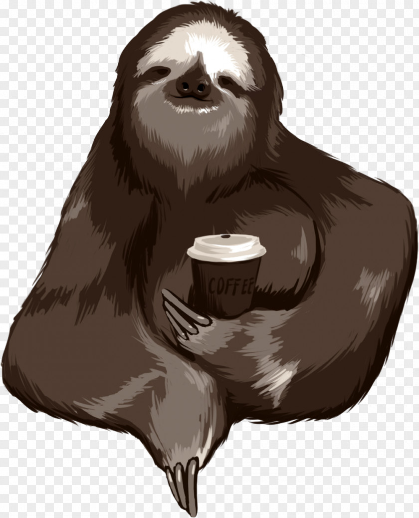 Sloth T-shirt Coffee IPhone 5s Telephone PNG