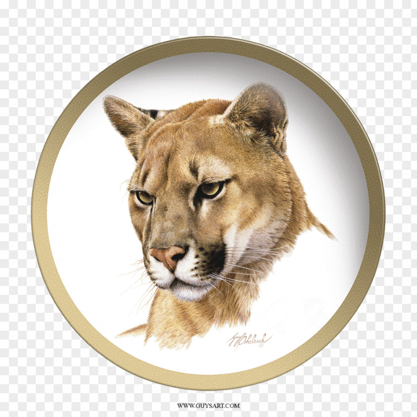 Tiger Cougar Cat Felidae Painting PNG
