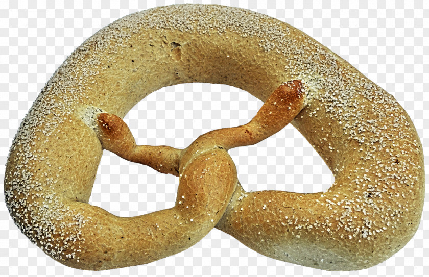 Bagel Bakery Pretzel Bread Asilo Nido PNG