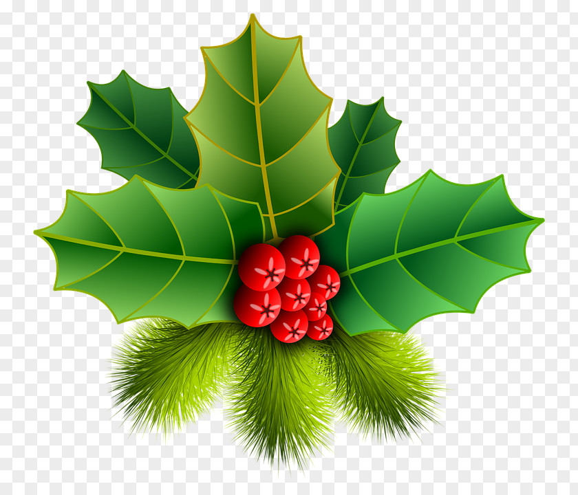 Christmas Ornament Common Holly Clip Art PNG