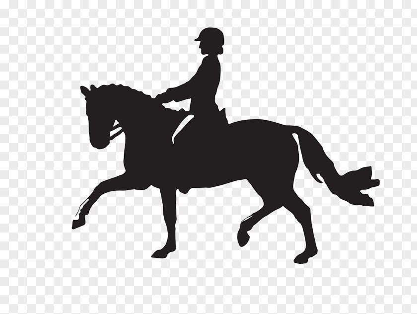 Horse English Riding Equestrianism Bridle Animal Sports PNG