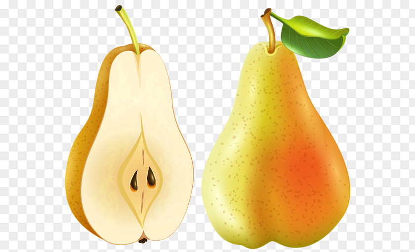 Pear Amygdaloideae Food Clip Art PNG