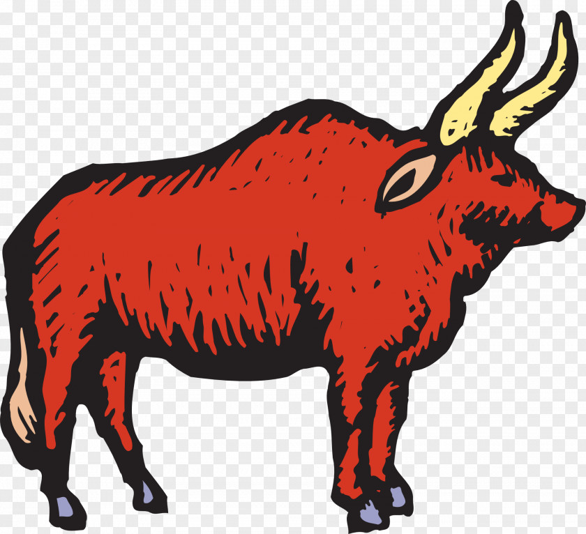 Robust Red Bull Angus Cattle Clip Art PNG