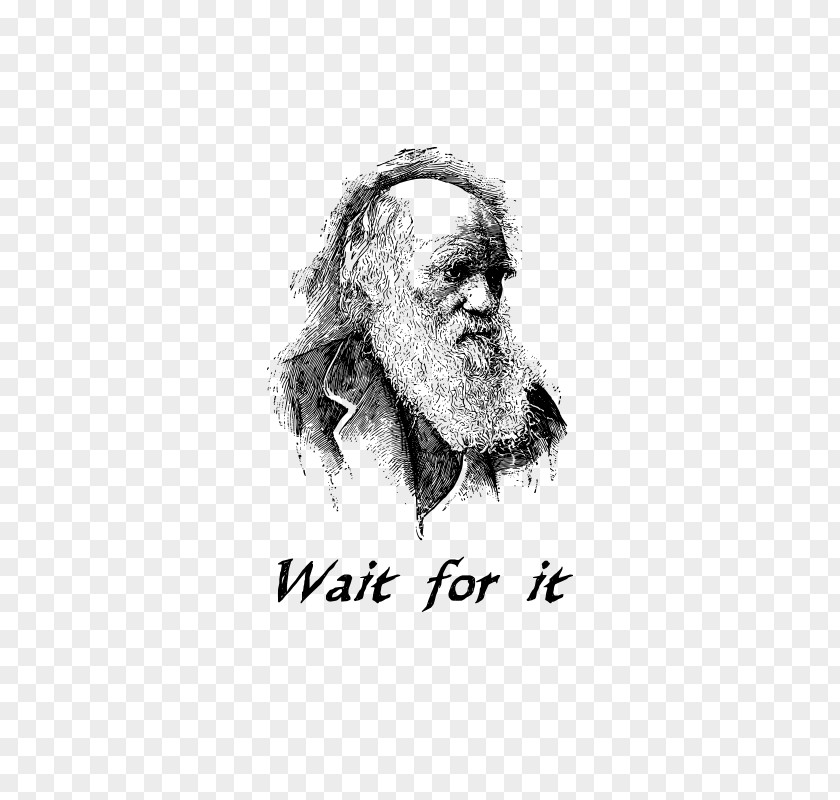 Wait For It The Voyage Of Beagle Evolutionary Medicine Adaptation Doctor Darwin PNG