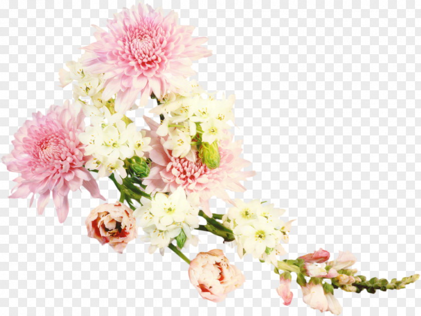 Blossom Hydrangea Pink Flowers Background PNG