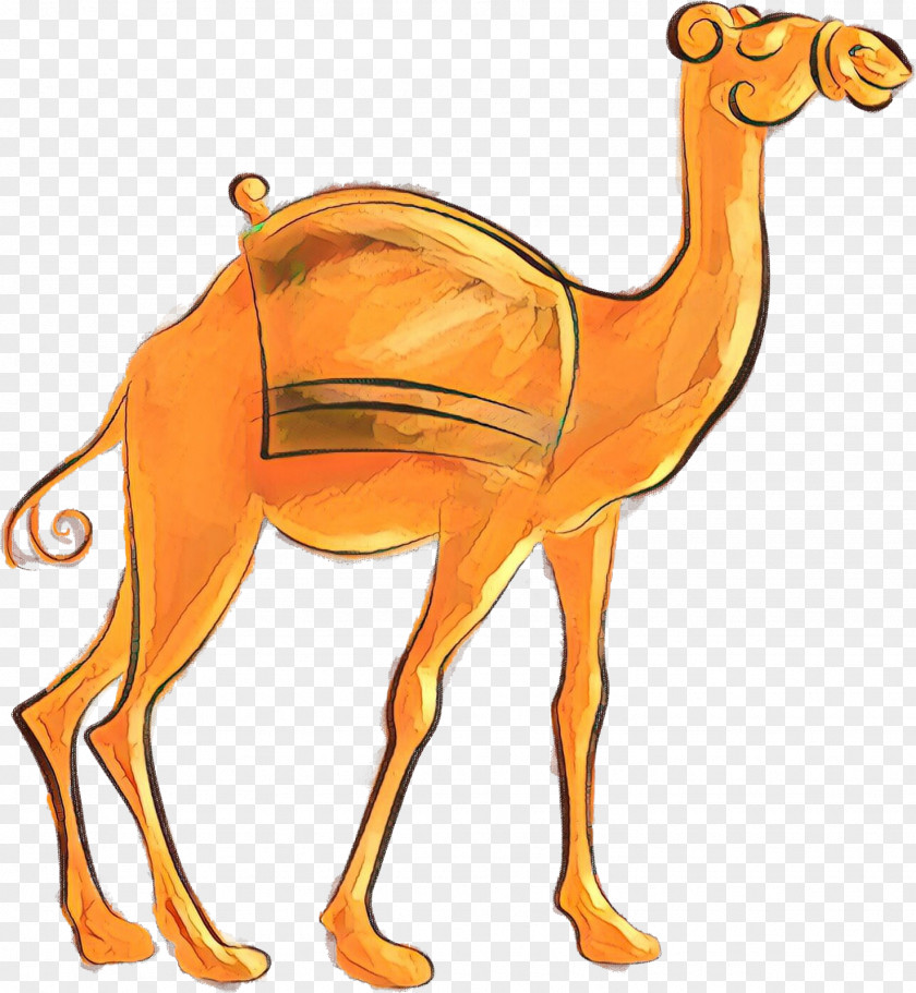 Dromedary Image Watercolor Painting PNG