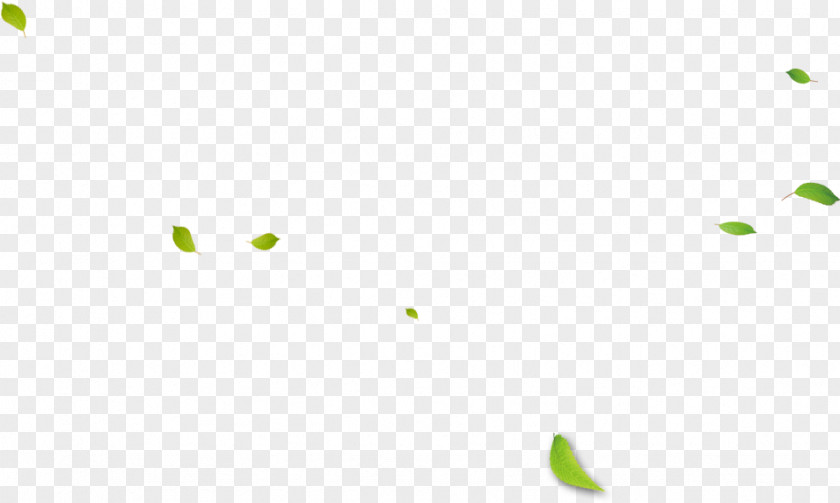 Falling Leaves Line Angle Point PNG