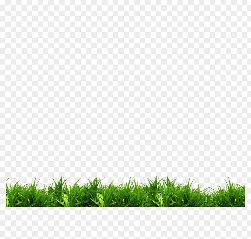 Grass Park Bench White Green PNG