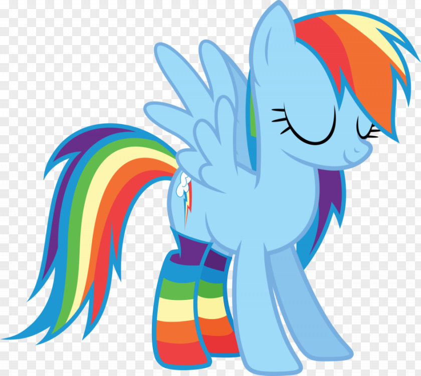 Rainbow Dash My Little Pony Sock PNG