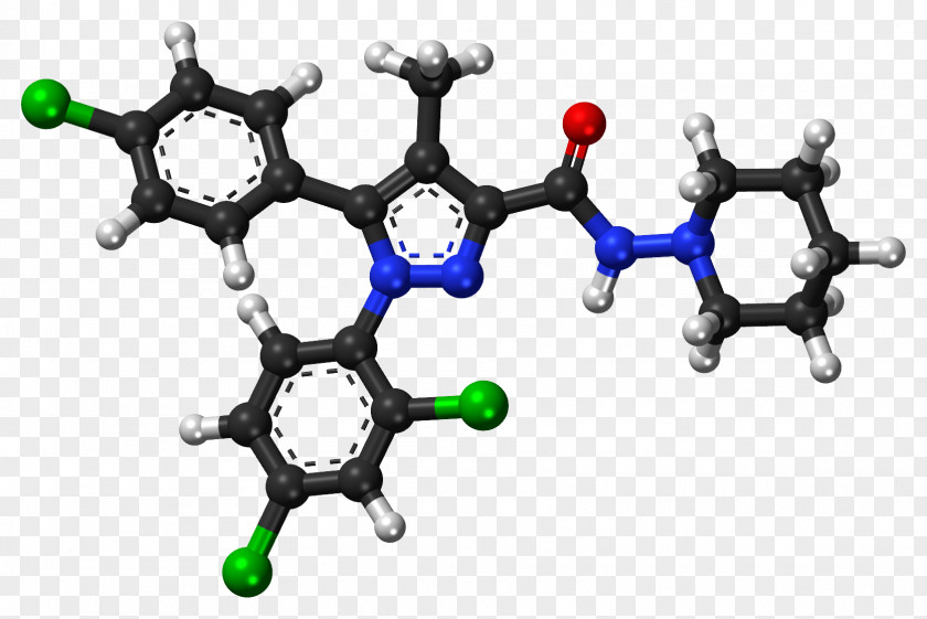 Rimonabant Lugduname Anorectic Pharmaceutical Drug Guanidine PNG