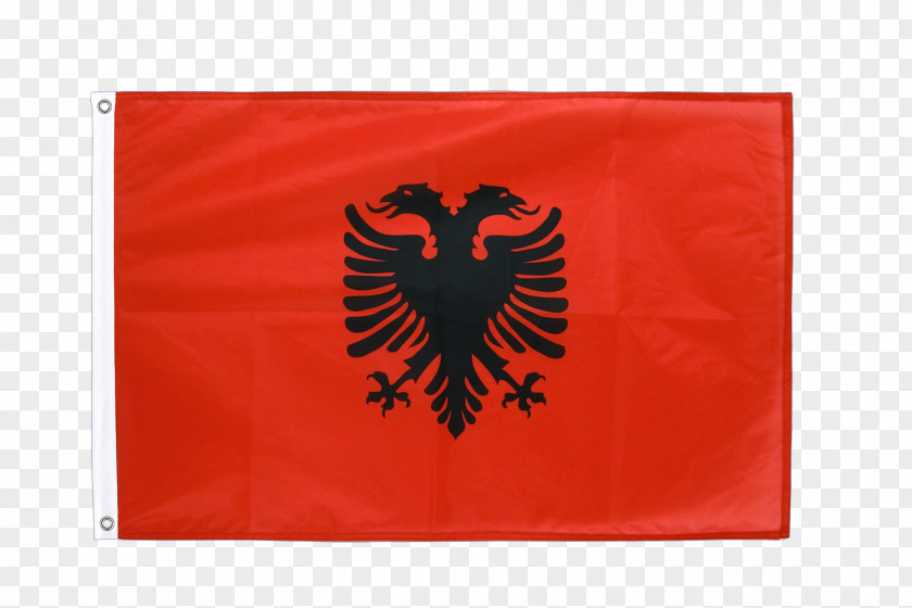 Bunting Flags Flag Of Albania Fahne Viiri PNG