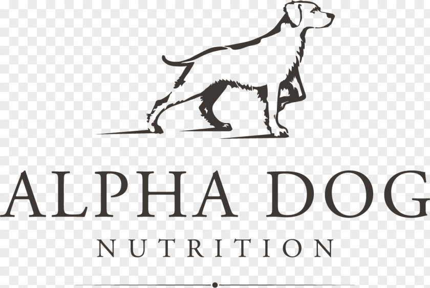 Dog Dietary Supplement Hunting Nutrition Grouse PNG