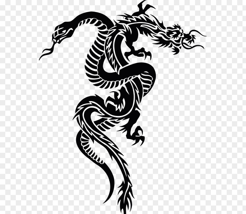 Dragon Snakes Clip Art Image Xenodermus PNG