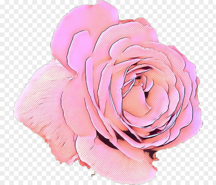 Japanese Camellia China Rose Pop Art Retro Vintage PNG
