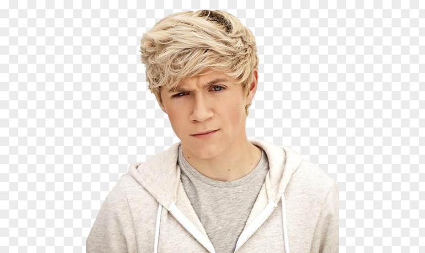 One Direction Niall Horan Mullingar The X Factor PNG