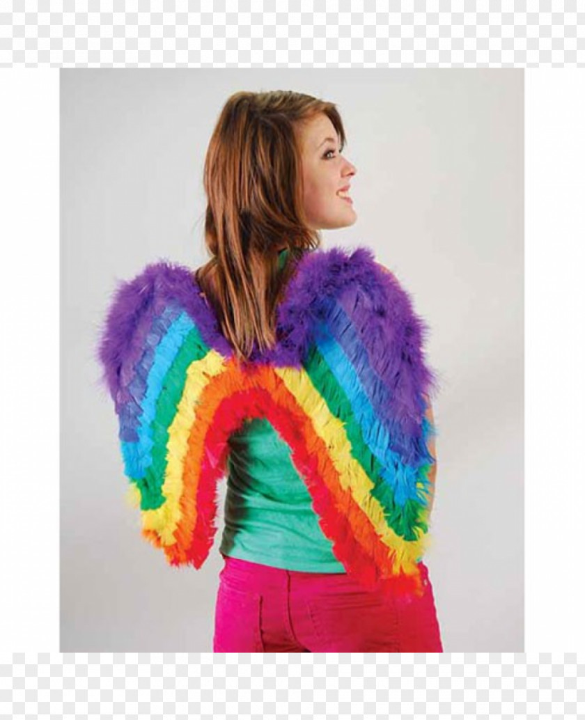 Rainbow Feather Clothing Accessories Fur Costume Fashion PNG