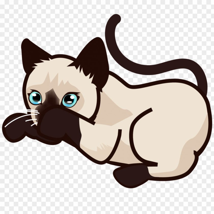 Cats Siamese Cat Kitten Clip Art PNG