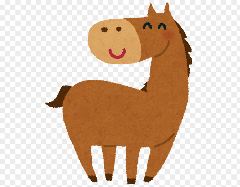 Horse Photography Sexagenary Cycle PNG