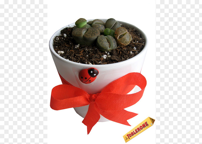 Seramik Superfood Flowerpot PNG