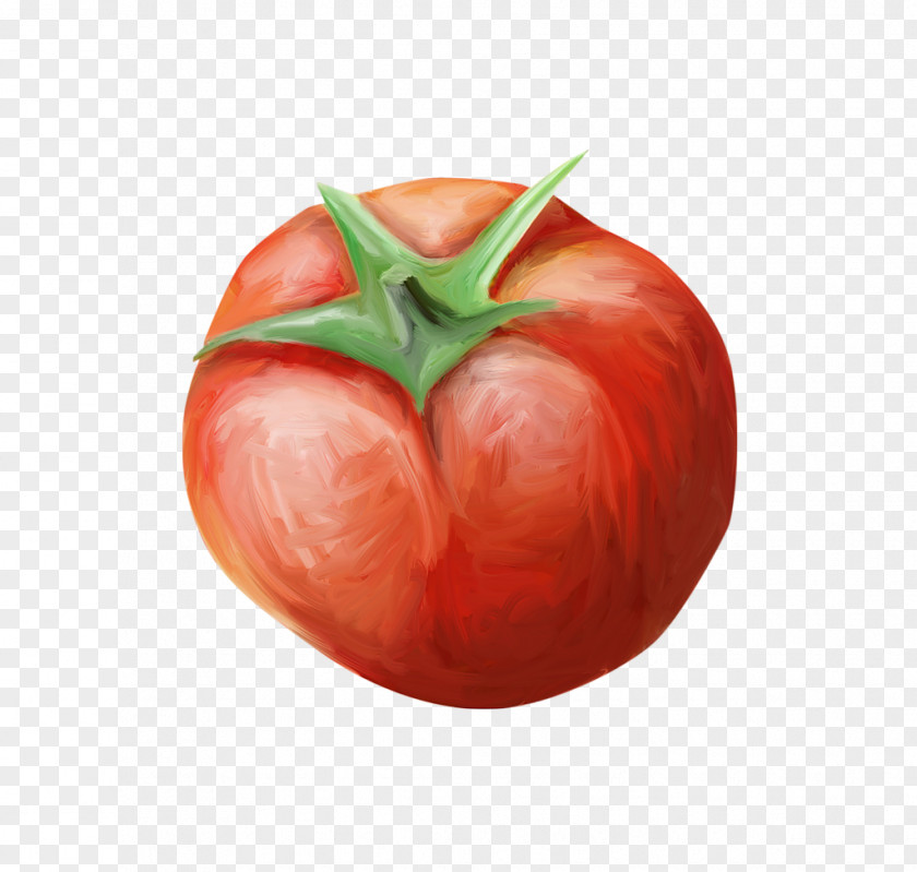 Tomato Vegetable Fruit Zxfcrcher Geschnetzeltes Chili Con Carne PNG