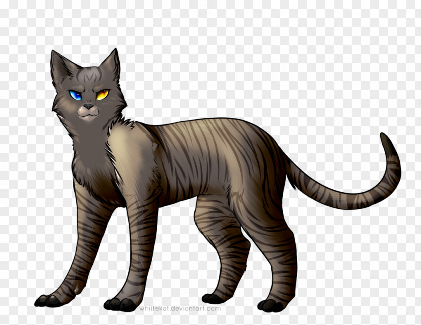 Wakeup Whiskers Domestic Short-haired Cat Tabby Drawing PNG