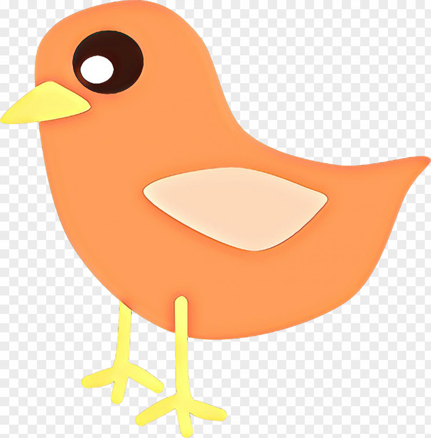 Orange Beak PNG