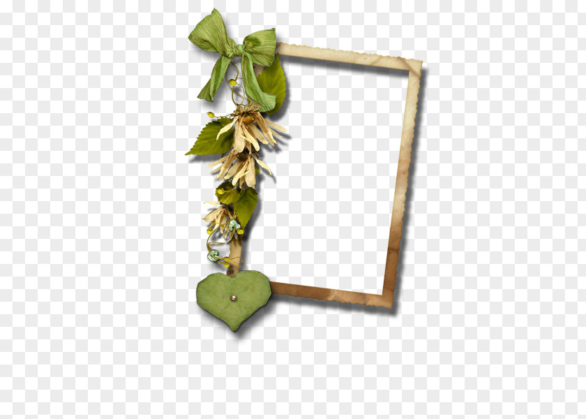 Plant Decorative Borders Clip Art PNG