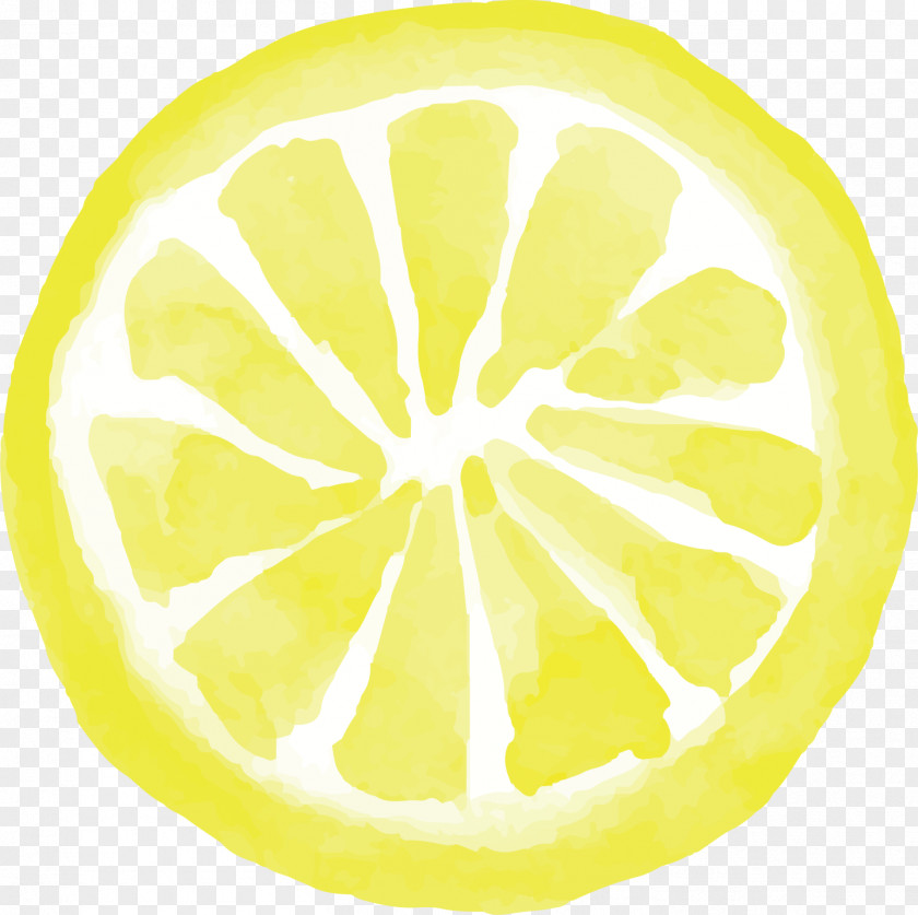 Vector Hand-painted Fruit Lemon Citron Yellow Circle Font PNG