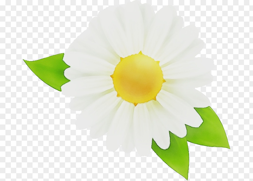 Yellow Petal PNG