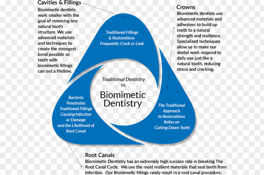 Crown Dentistry Dental Restoration Biomimetics Surgery PNG