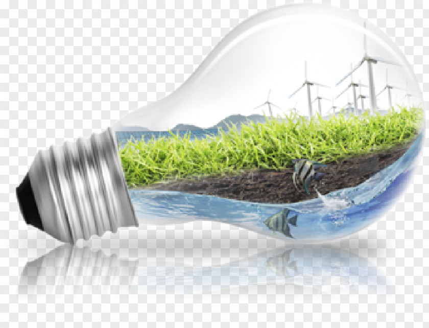 Light Stock Photography Incandescent Bulb Alternative Energy Renewable PNG