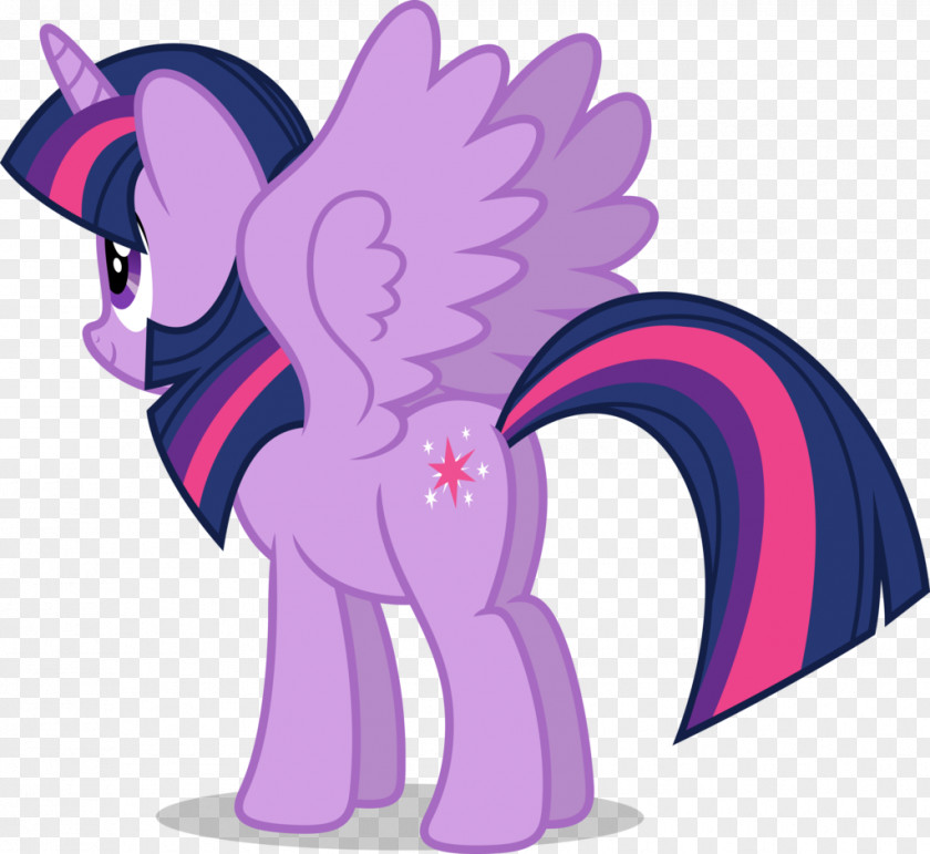 Mlp Pony Twilight Sparkle Winged Unicorn Pinkie Pie Image PNG
