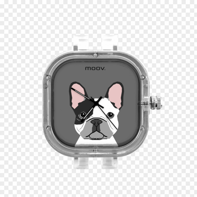 Puppy Boston Terrier French Bulldog Dalmatian Dog PNG