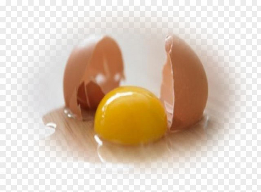 Egg Yolk PNG